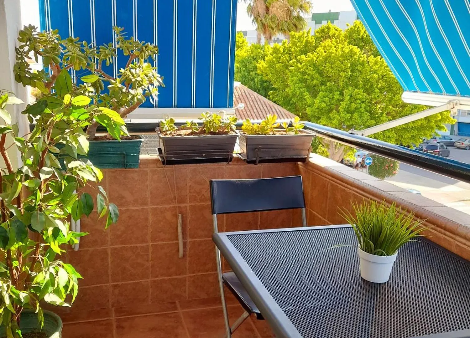 Mi Rincon De Rota Apartment